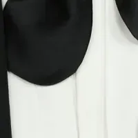 ウブロとアカデミー賞