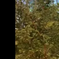 次世代空調の実証