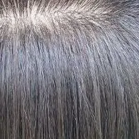 快適ウィッグ販売開始