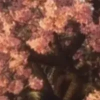 2026春のトレンド