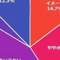 フリーランスの実態