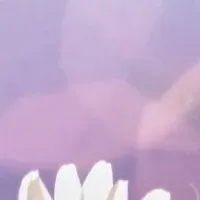 妻と飛んだ特攻兵