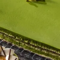 Luxurious Matcha Delicacies