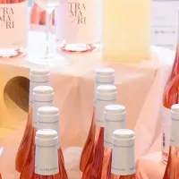 トラマーリ新作発表