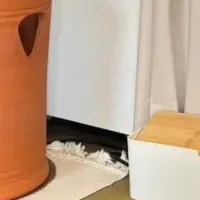 よもぎ蒸しサロン掲載