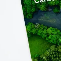 Carbon EXの新特集