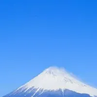 伊豆のインバウンド