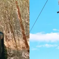 三島スカイウォーク