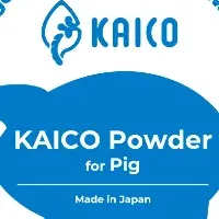KAICO Powderの進展