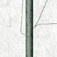 新作『黒いチューリップ』