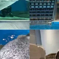 飼育の日ウィーク開催