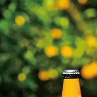 高知のビール出店