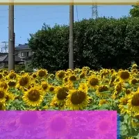 村長と話せる権利