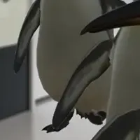 子どもたちと動物