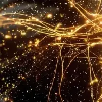 口から始める健康