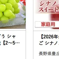豊丘村のふるさと納税