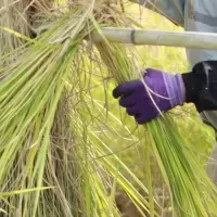 Replowの未来提案