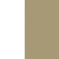 群馬銀行とシェアダインの提携