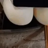 未来の植物教育技術