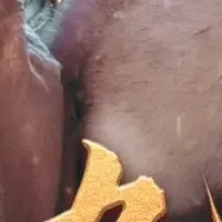 中国ドラマ『九重紫』最終章