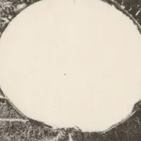 本橋孝祐の個展