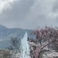 箱根強羅公園の春