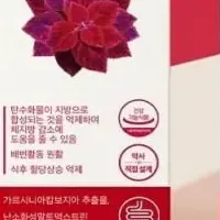 Foodology日本進出