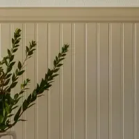 Homeカテゴリー特化フォーラム