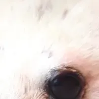 伊勢シーパラで赤ちゃん