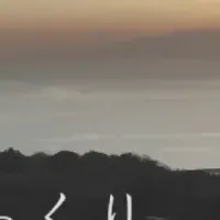 男性育休制度の充実