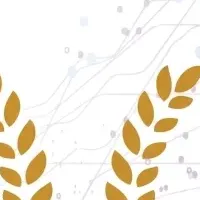 SIGNATEのDX人材育成