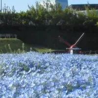 木曽三川公園の春