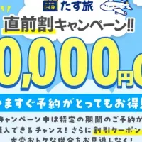 スカイマーク特別割