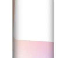 下呂市のDX改革