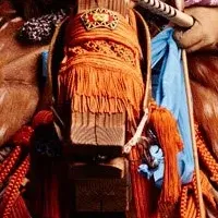 侍プロジェクト始動