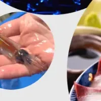 GW特別ツアー富山