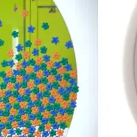 トイレの新しい姿