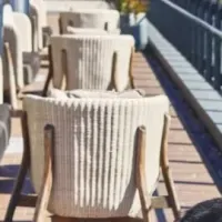 愛犬と特別な時間