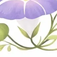 自宅で安心看護