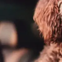 個性的なフレーム