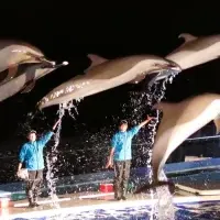 四国水族館夜間貸切