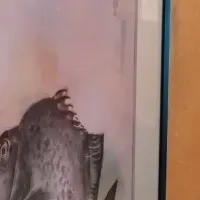 下田海中水族館魚拓展