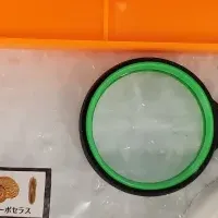 化石発掘体験キット