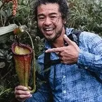 新たな黄金の庭