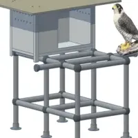 ハヤブサ人工巣設置