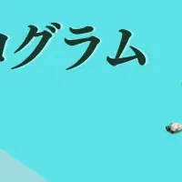 NGOスタディ研修員募集