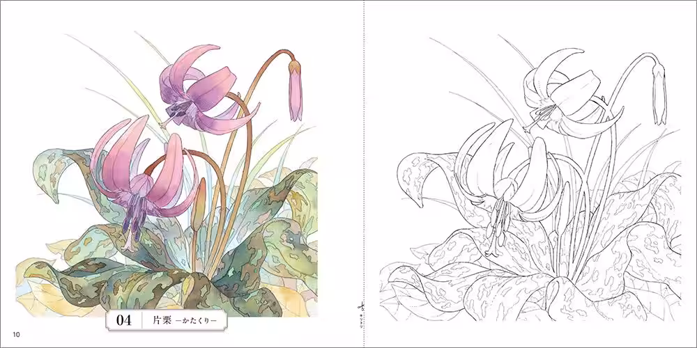画像3