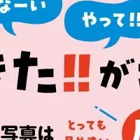 子ども向けおりがみ本