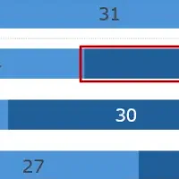 新興国の生活調査