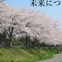 桜回廊を未来へ